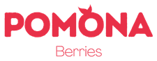 Pomona Berries